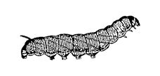 cHJpdmF0ZS9sci9pbWFnZXMvd2Vic2l0ZS8yMDIyLTA0L2pvYjcxMi0wMTkteC5qcGc.png