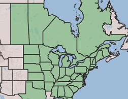Red Columbine Native Range