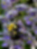 IMG_5109.jpeg