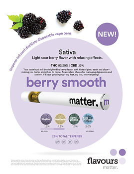 disposable vapes_sell sheet_BerrySmooth-
