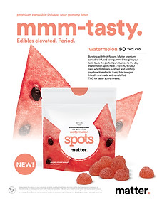 SPOTS_sell sheets__all_FINAL-03.jpg