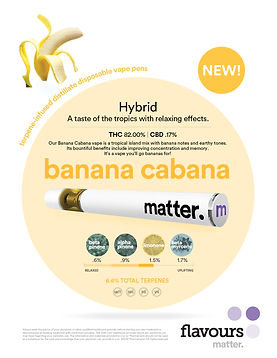 disposable vapes_sell sheet_BananaCabana