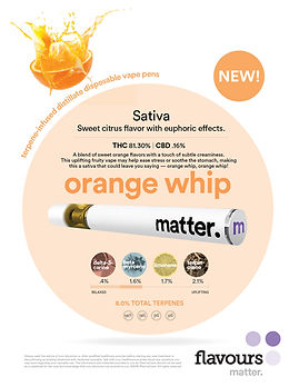 disposable vapes_sell sheet_OrangeWhip-0