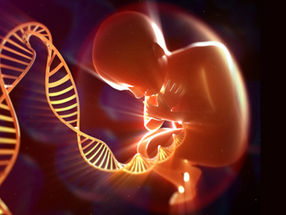 "Bônus"
Opala Negra, do Inferno à Luz: A Pangeia da Raça Humana (Final)