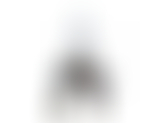 A insurreição e o prevalecer de Putsch: O renascimento dos 21 anos