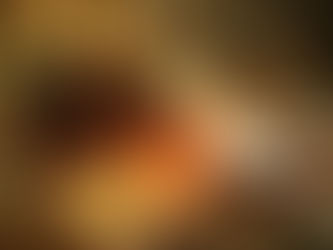 "Bônus"
Opala Negra, do Inferno à Luz: A Pangeia da Raça Humana (Parte II)