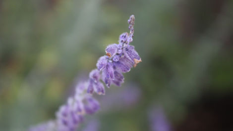 Untitled Photograph, 2021