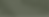 Fringe Palm BG Only.png