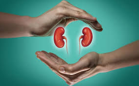 The Kidney Meridian