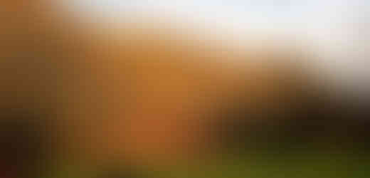 Ve stěně Prokopského údolí je jeskyně, která dala inspiraci Eduardu Štorchovi k napsání knihy Lovci mamutů