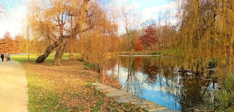 Jeden z nejmenších rybníku v PP Královská obora - Rozinek