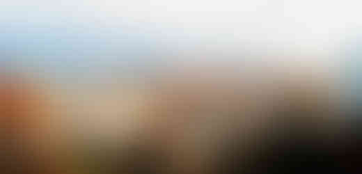 I straka si chtěla ukrást trochu z krásného výhledu na pátý pražský obvod