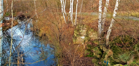 Lokalita Na Pískách je součástí Údolí motolského potoka