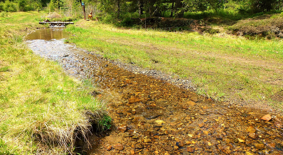 U Kepelských mokřadů (VP).JPG