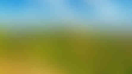 Sedlo mezi Oblíkem a Srdovem a Brníkem bylo dřív vyplněno ovocnými sady