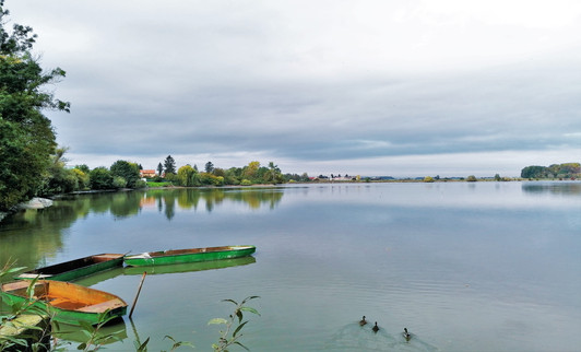Hradecký rybník u Tovačova je zajímavě rozdělen cestami, po kterých vedou cyklostezky