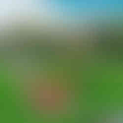 Návrh parku MIchalov v Přerově navrhl zahradní architekt František Thomayer