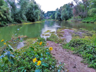 Soutek Moravy a Bečvy, který způsobil v roce 1997 téměř zánik obce Troubky