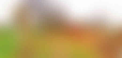 Alej mezi Vinoří a Satalicemi