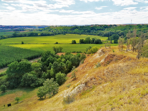 Ostré hrany Přírodní památky Staňkovice byly dřív strmým břehem řeky Praohře