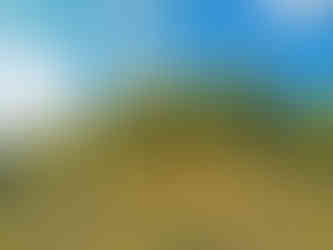 Vrchol Oblíku najdeme ve výšce 509 metrů nad mořem