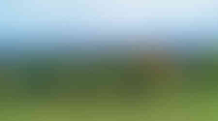 Pohled na Prahu z nejvyšších partií pražské Botanické zahrady v Troji