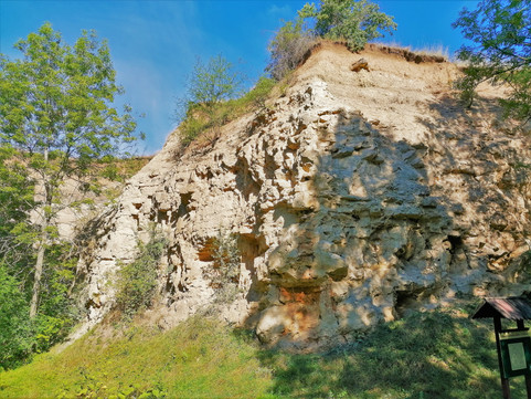 Přírodní památka Miocenní sladkovodní vápence