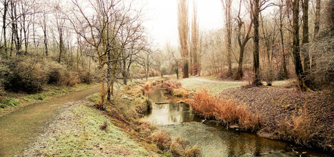 Neregulovaný tok řeky Rokytky v Hloubětíně