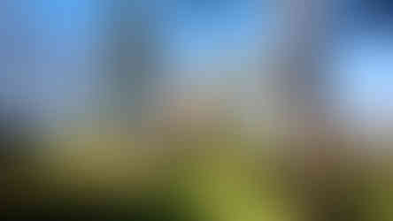 Dominanta zámeckého parku v Čechách pod Kosířem - rozhledna Červená věž