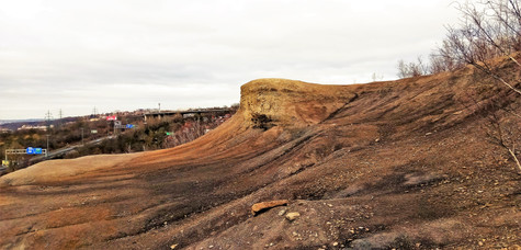 Přírodní památka Cihelna v Bažantnici v Hloubětíně