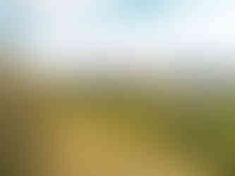 Oblík je svah, který je nejvíce postižen v Českém středohoří sesuvy, a to zvláště na severním a západním svahu