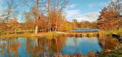 Listopadové slunce se zrcadlí v rybnících PP Královská obora