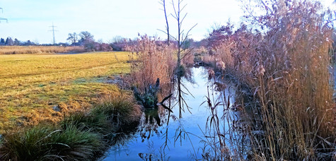 Svépravický potok je sousedem říčky Rokytky