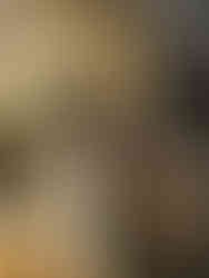 Pohled na podobu Zbrašovských aragonitových jeskyní