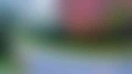 Kontrastní zákoutí