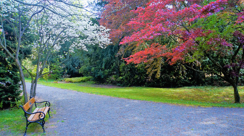 Kontrastní zákoutí