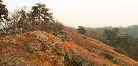 Lehký opar na Hemrových skalách