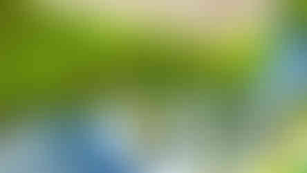 Tady mezi betonovými bloky ztratí Albrechtický potok kinetickou sílu, aby se mohl vrhnout v klidu do hlubin země