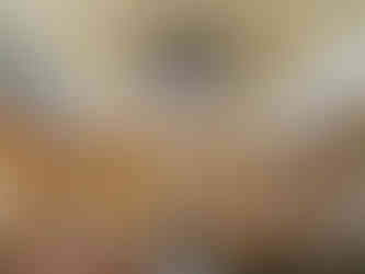 V budově bývalé synagogy v Hranicích