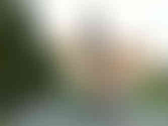 Kopie sochy Panny Marie Karlovské v Prostějově, originál je v Praze na Karlově