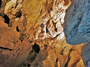 Uprostřed snímku je jeden z mála krápníků, které se vyskytují ve Zbrašovských aragonitových jeskyních