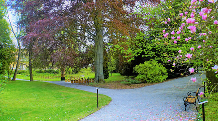 Arboretum v Bílé Lhotě