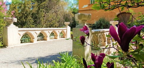 Rozkvetlé magnolie dnes drží čestnou stráž u mostu