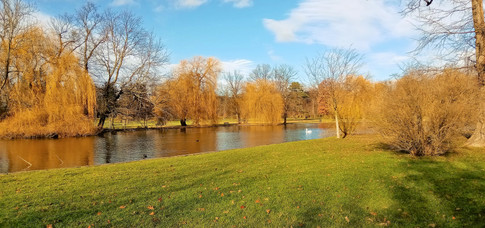 Rudolfův rybník v PP Královská obora