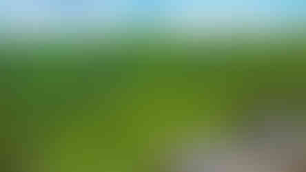 Pod vrcholem se mezi hřbety nachází vodní nádrž Jezeří, která vznikla v letech 1902-4; dnes se využívá jako zásobárna pitné vody