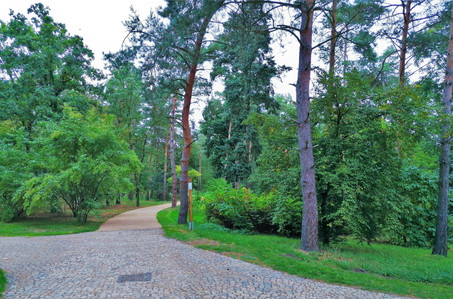 Arboretum je nejvyšším bodem pražské Botanické zahrady v Troji