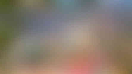 Při pohledu ze Strážného vrchu působí kostel Neposkvrněného početí Panny Marie ve svém nejčistším italském slohu až nepatřičně uprostřed sudetského města Dubí