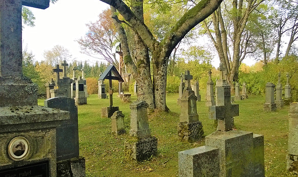Ze_zaniklé_obce_PleÅ¡_zbyl_jen_hÅbitov