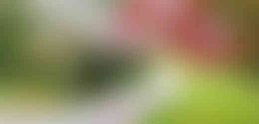 Jako pod červenobílým deštníkem