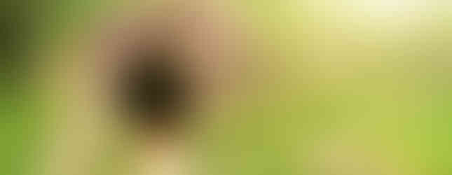 Někdo nás pozoruje